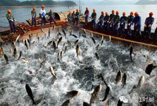世界四大渔场之一：加拿大的纽芬兰渔场