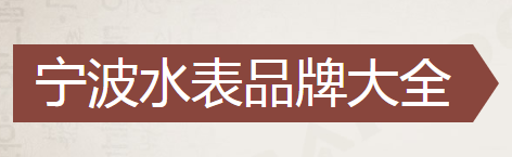 宁波水表厂家十强