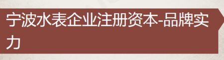 宁波水表厂家十强