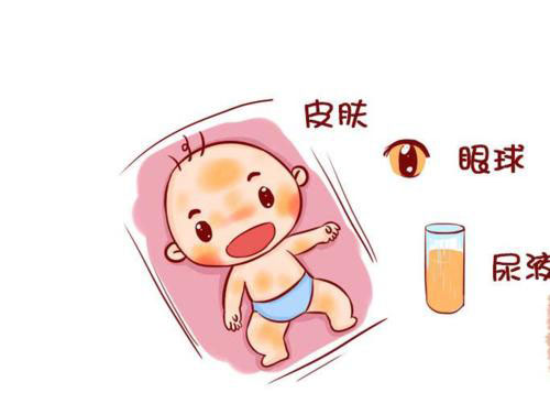芜湖月子中心示意图