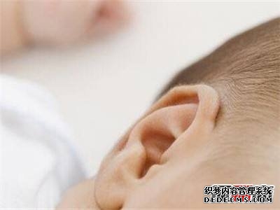 耳动筋