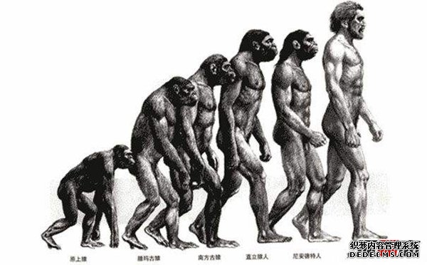 人类起源之谜:揭秘人类由来的三大可能(外来物种)