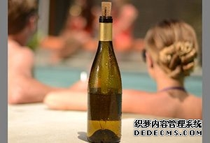 红酒冷却器