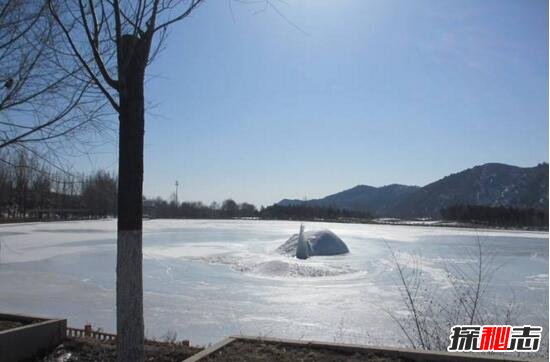 青海湖水怪之谜,体长超14米形似恐龙(视频)