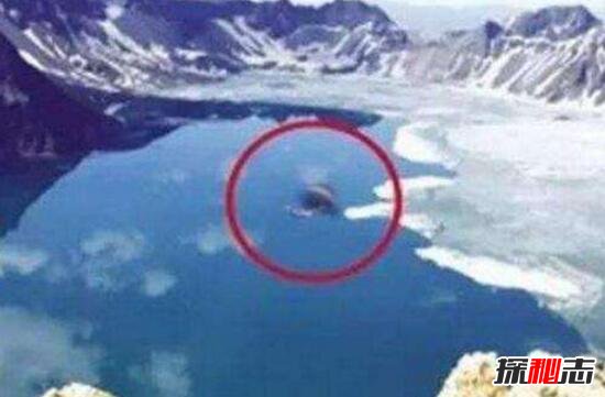 青海湖水怪之谜,体长超14米形似恐龙(视频)