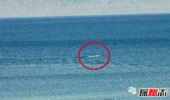 青海湖水怪之谜,体长超14米形似恐龙(视频)