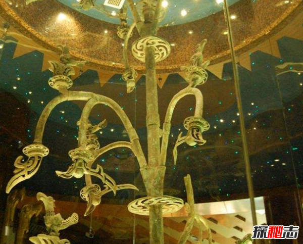 青铜神树的秘密揭秘:青铜神树为什么逆天?