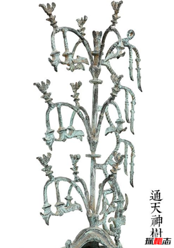 青铜神树的秘密揭秘:青铜神树为什么逆天?