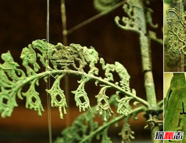 青铜神树的秘密揭秘:青铜神树为什么逆天?
