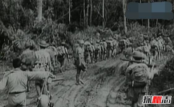 揭秘缅甸野人山死了多少人,50000人丧生(女兵遭性侵致死)
