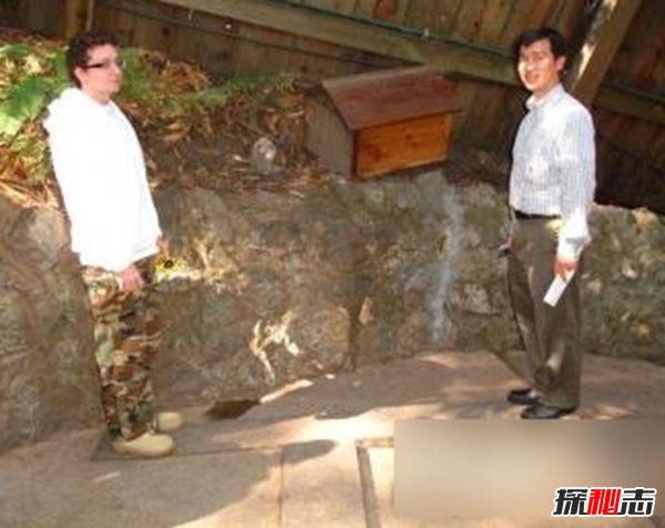 美国圣塔柯斯小镇之谜,颠覆视觉的奇异引力现象