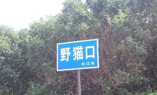 尼斯湖水怪之谜:水怪是真的吗?尼斯湖水怪真相曝光