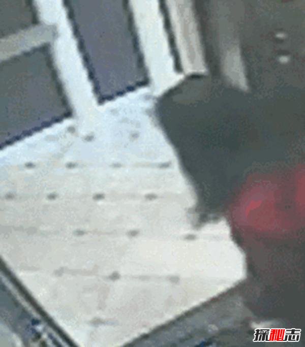 蓝可儿死亡事件,揭秘蓝可儿死亡真相(被谋杀)