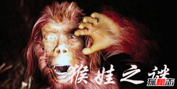 神农架猴娃之谜,百岁母亲养育三个猴娃(近亲联姻)