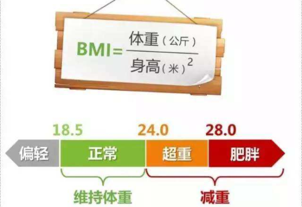 BMI是什么意思:身体质量指数(过胖的危害)