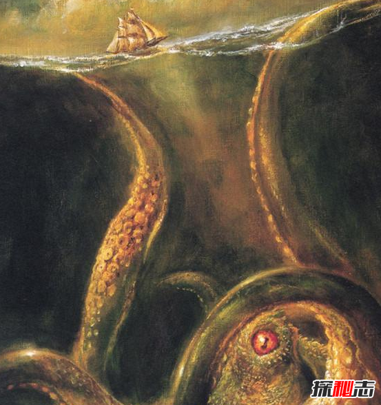 比蓝鲸大100倍的生物:北海巨妖-克拉肯(真实存在)