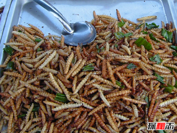 吃过吗?十大最火最奇怪的油炸食品,油炸竹虫在泰国极受欢迎