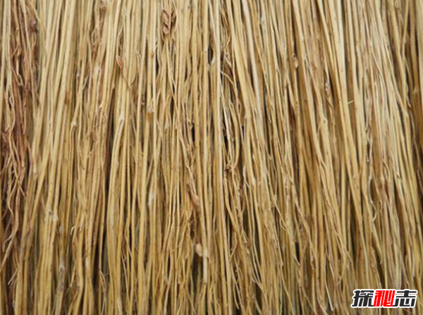 不一样的婚礼仪式你见过吗?世界上十大婚礼奇怪习俗