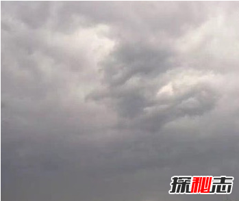 飞机上拍到真龙,真龙现身征兆着什么?