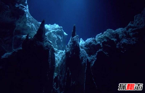 海底九万米有多恐怖?亿级水压,只有这种生物能生存