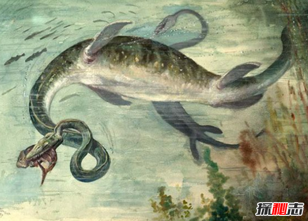 海怪真的存在吗?世界十大恐怖海怪传说
