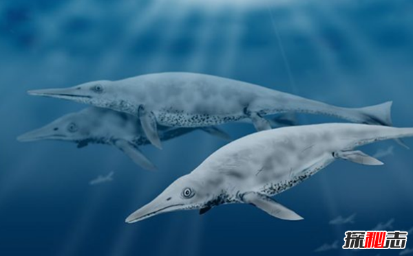 海怪真的存在吗?世界十大恐怖海怪传说