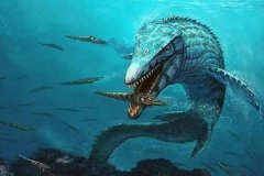 海王龙和沧龙谁强一些?海王龙更胜一筹