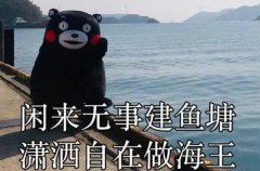 海王是什么意思梗：形容一个人备胎多花