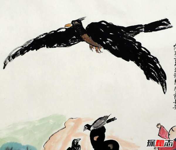 鸿鹄是什么鸟?北大校长致辞念错鸿鹄引发热议