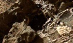 火星上发现人类残骸?和人脸类似造型奇特相当特