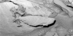 火星上再次被拍到鱼化石 难道火星上真的有生物