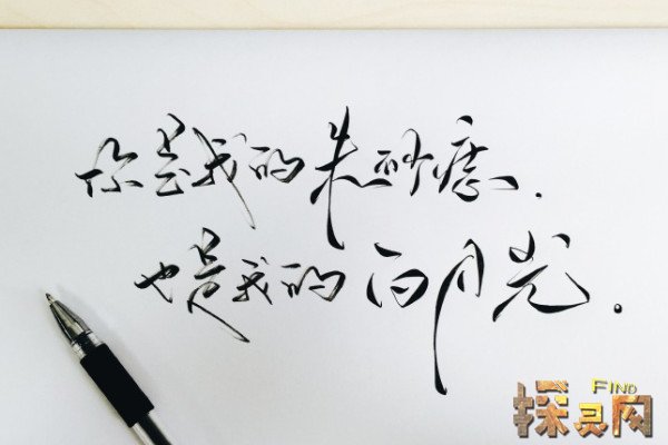 白月光和朱砂痣的爱情含义，无法得到的人/得到后失去的人