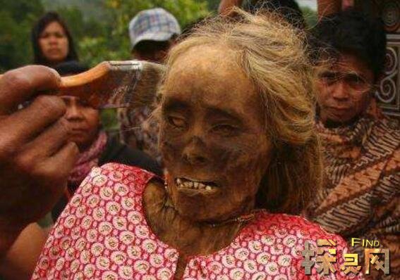 起尸